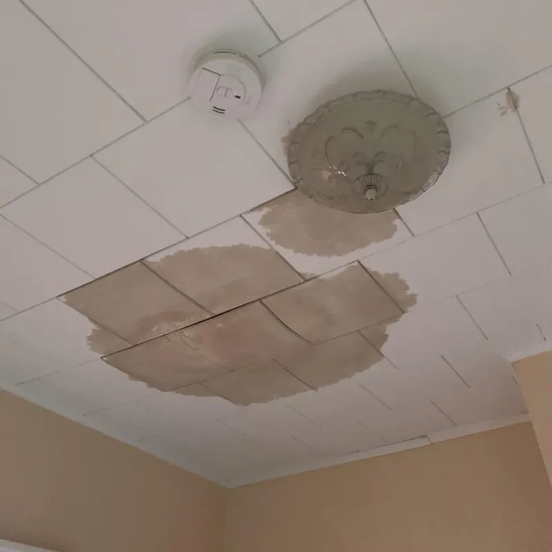 Ceiling Water Damage Repair in Foster, RI