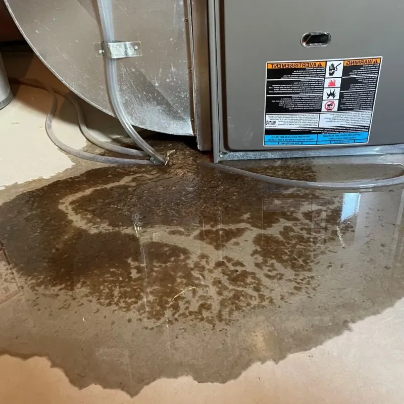 Pipe Burst and Leak Restoration in Foster, RI