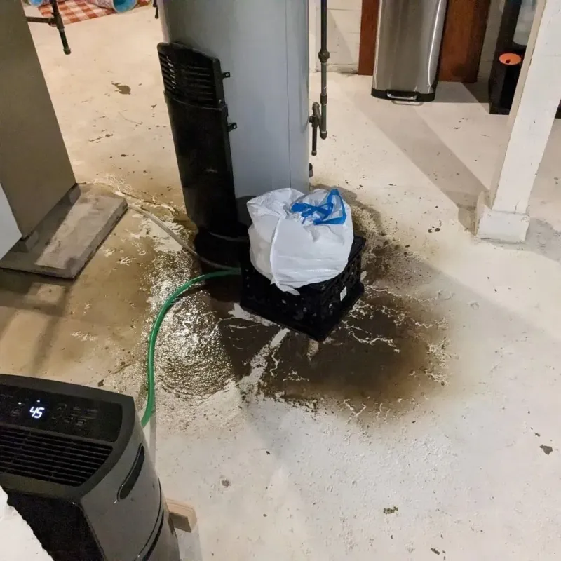 Sewage Backup Cleanup Service in Foster, RI